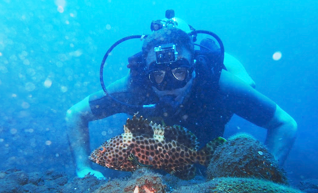 scuba diving greece dive in seas